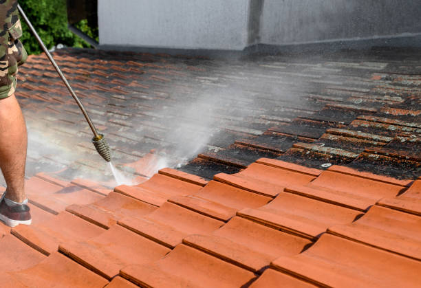 Best Affordable Pressure Washing  in Neptune City, NJ